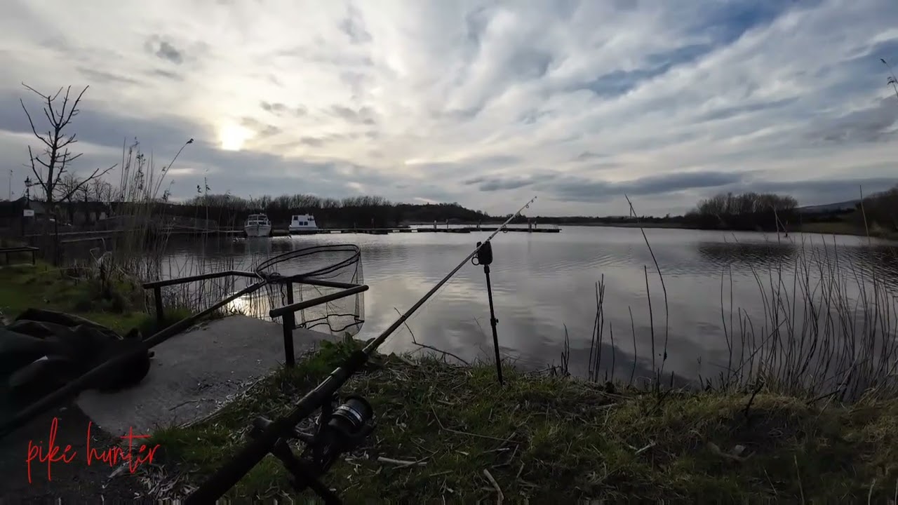 DEAD BAITING
