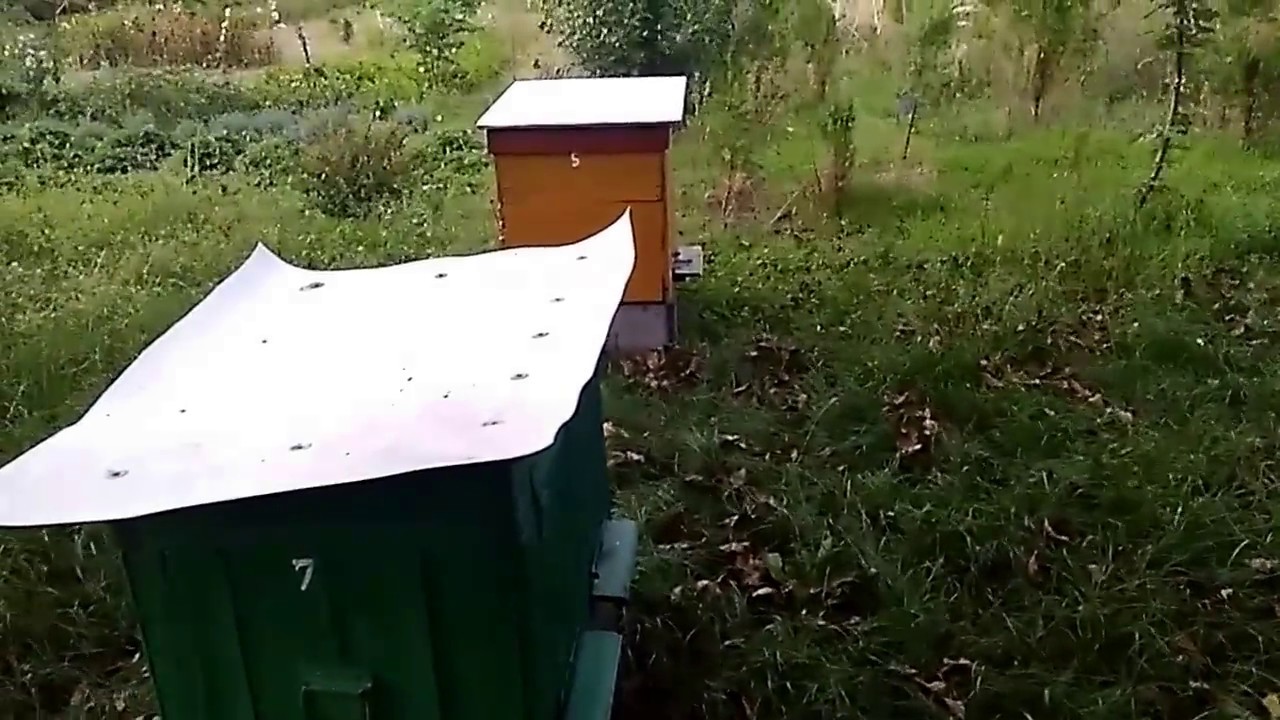 42/2017# Posumowanie przeglądu po zakarmianiu na zimę.