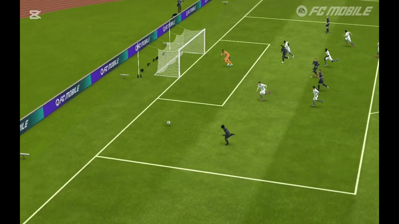 HIGHLIGHTS 