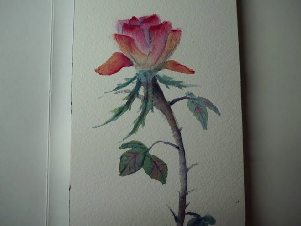 Simple watercolor rose demo (time lapse)