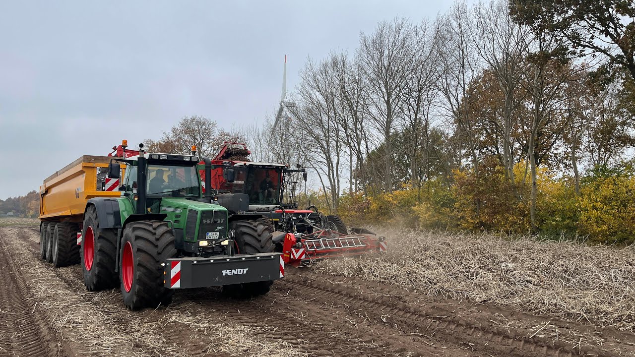 Fendt 926 Favorit Dewulf Enduro Kartoffelernte im Emsland