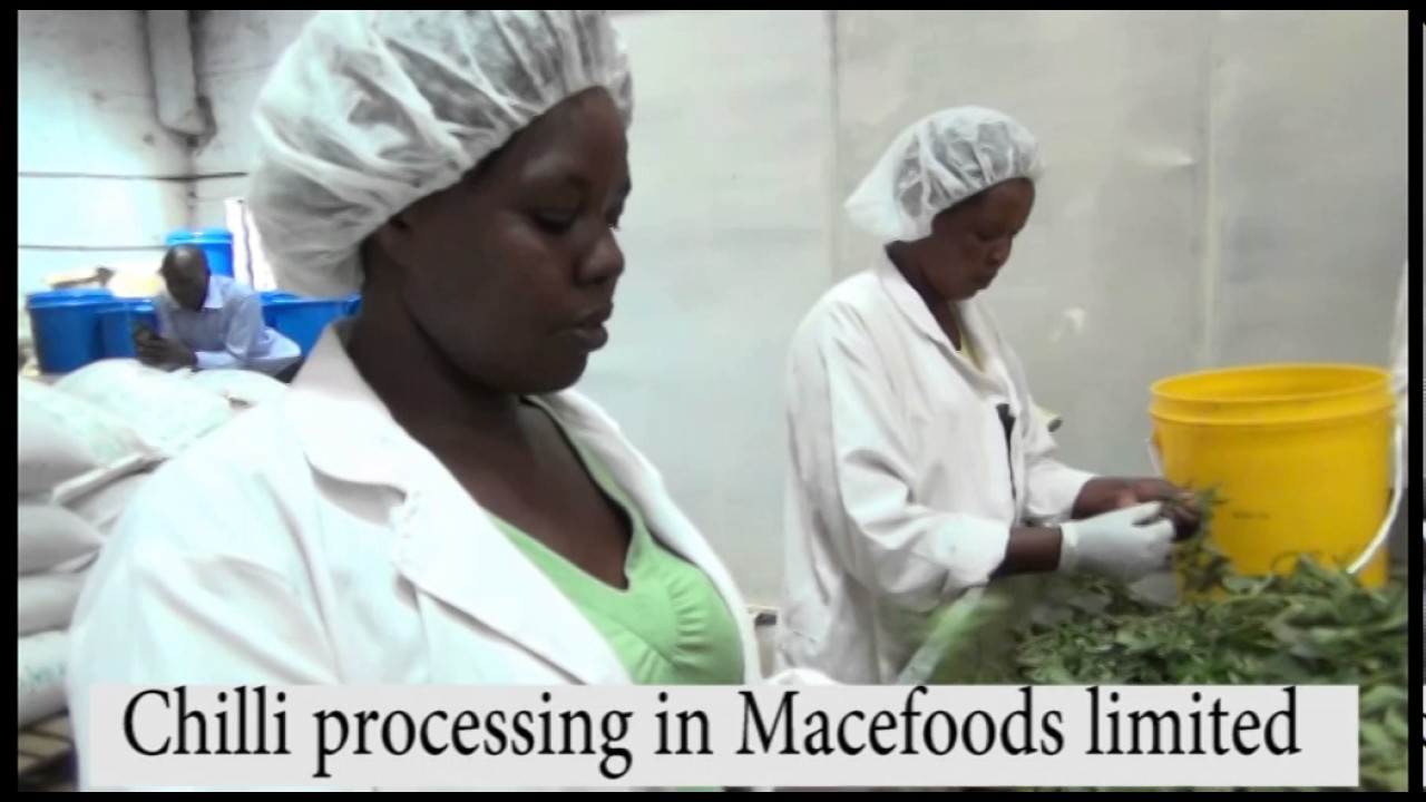 farmerscheck MACE FOODS-CHILLI FACTORY