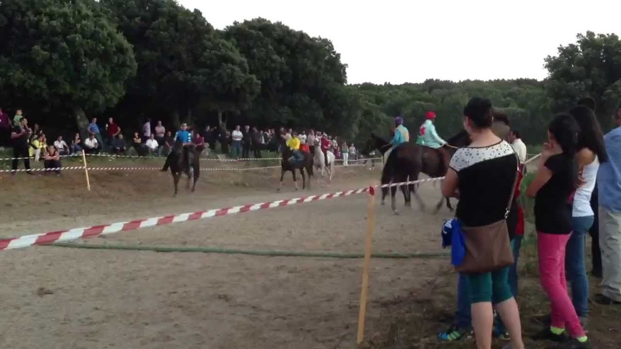 Palio pattada finale 2013
