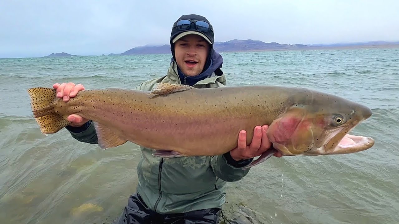 BIGGEST FISH IVE EVER SEEN!! (17 LB Cutthroat Trout)