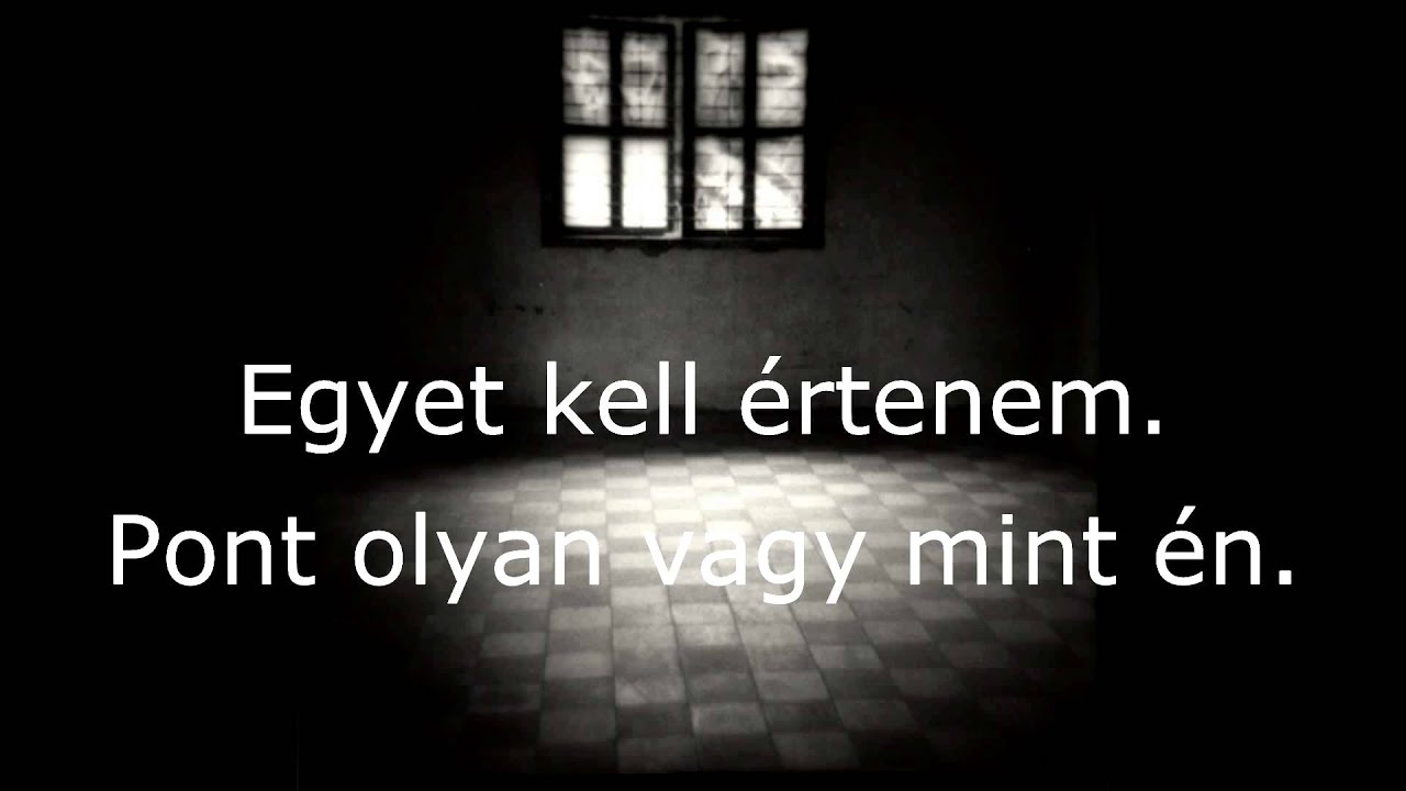 Falling in Reverse - Caught Like a Fly (magyar felirattal)