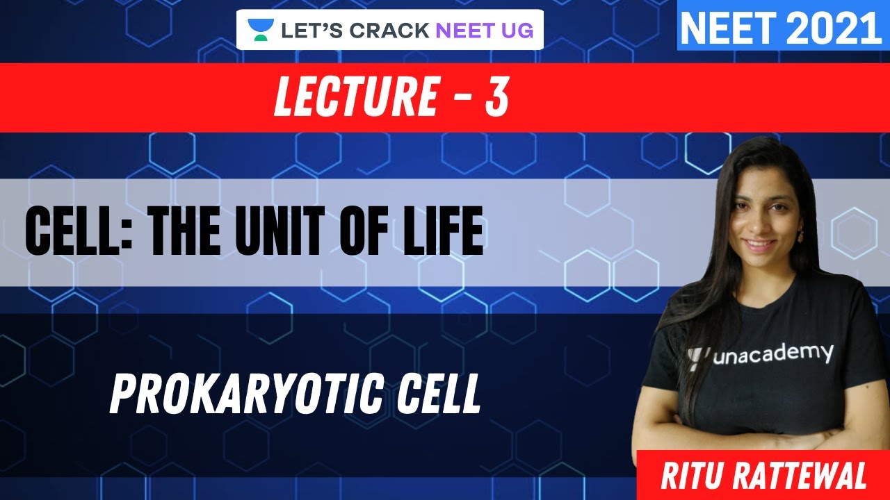 Phoenix 2.0: Biology Most Important Video for NEET 2025 | Udaan