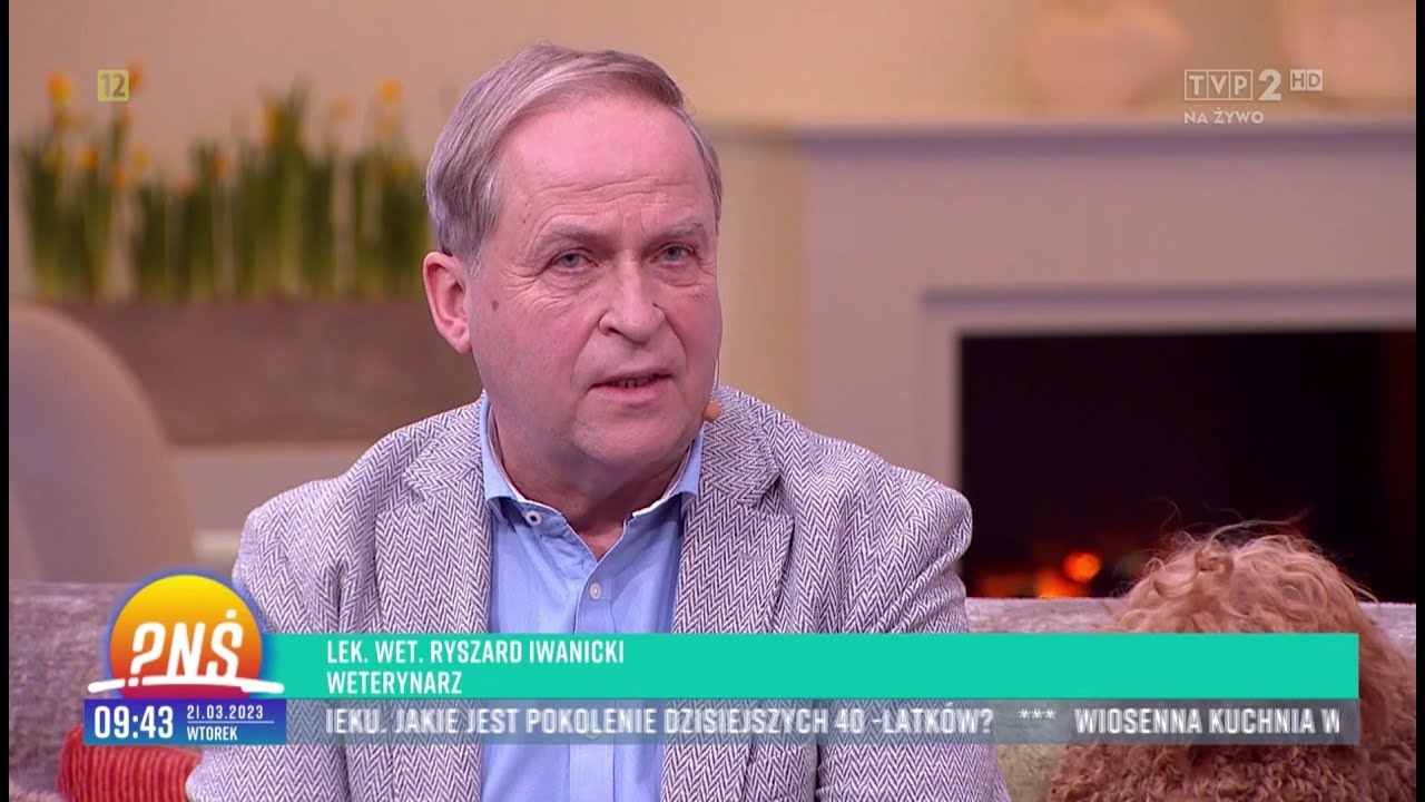 Cavapoo &ndash; psy, kt&oacute;re wyglądają jak żywe maskotki - Pytanie na śniadanie TVP