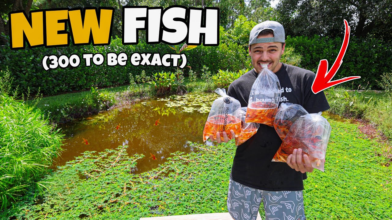 Buying ALL the FISH in store for My BACKYARD POND!!