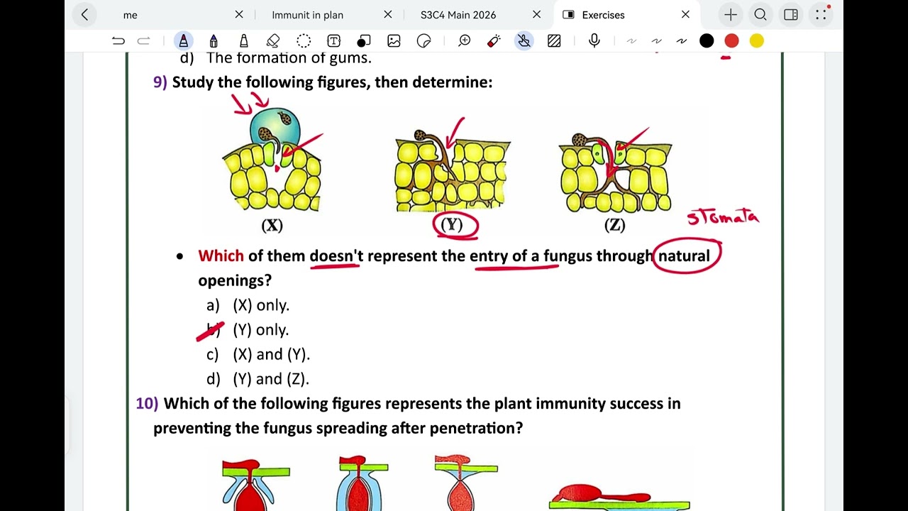 Chapter4 :  Lecture 1 / Section C (H.w correction)