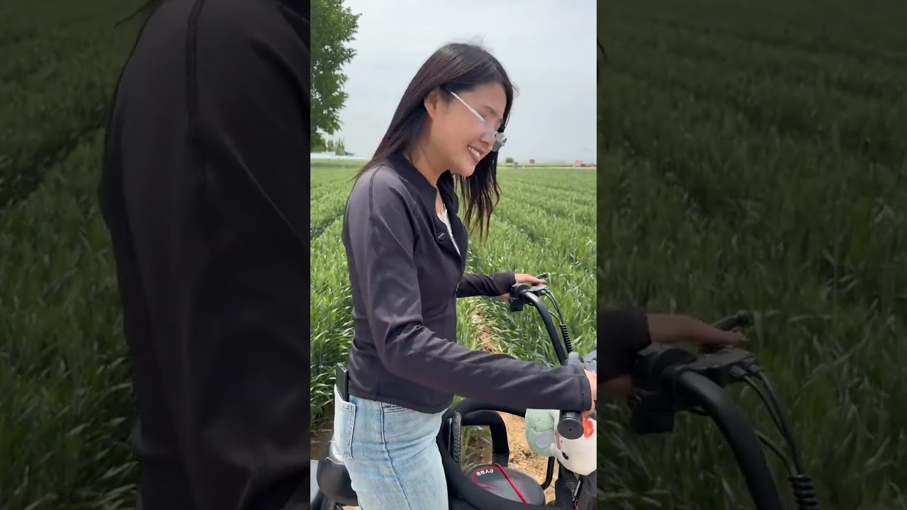 Stealing Chickens vs. Rice Waste: Hilarious Comparison That'll Make You Chuckle