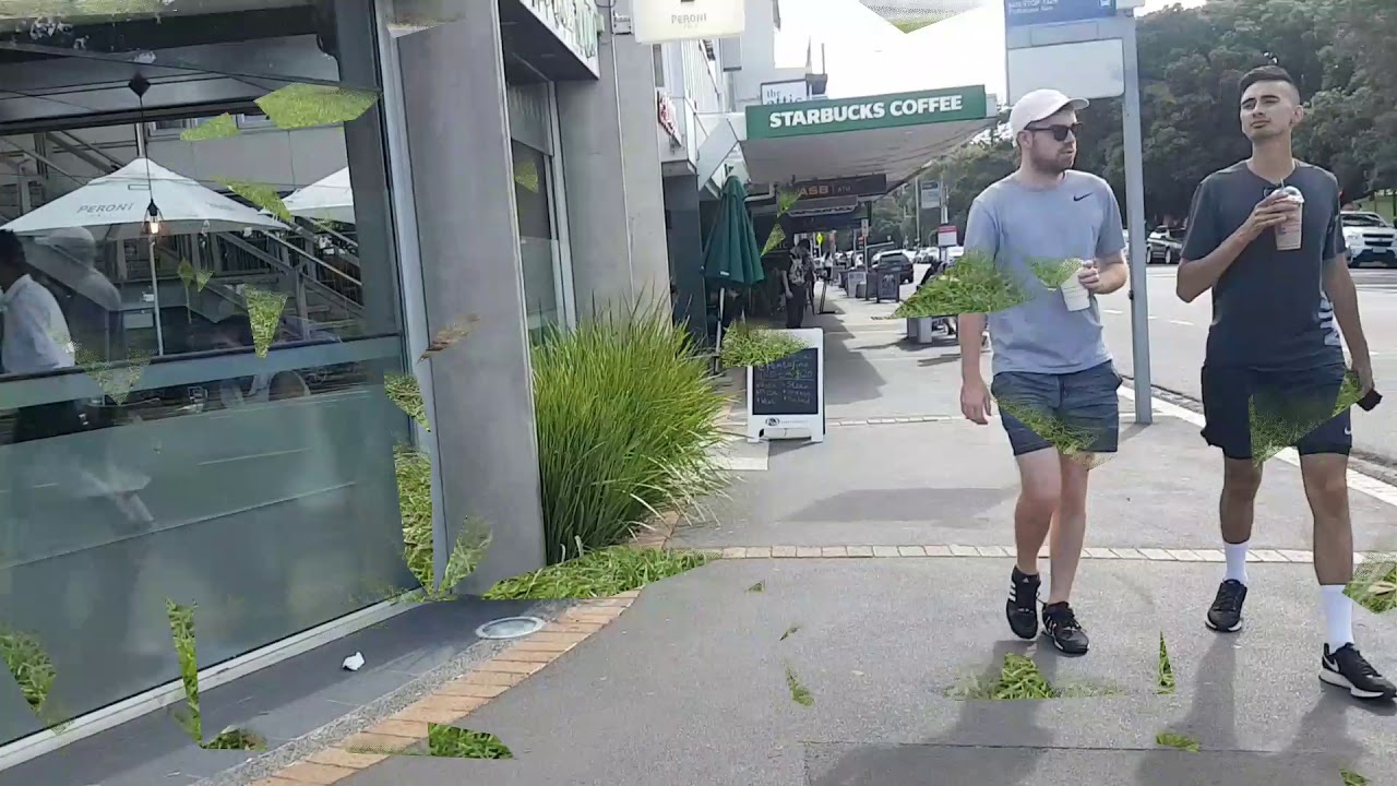 Un día en auckland!
