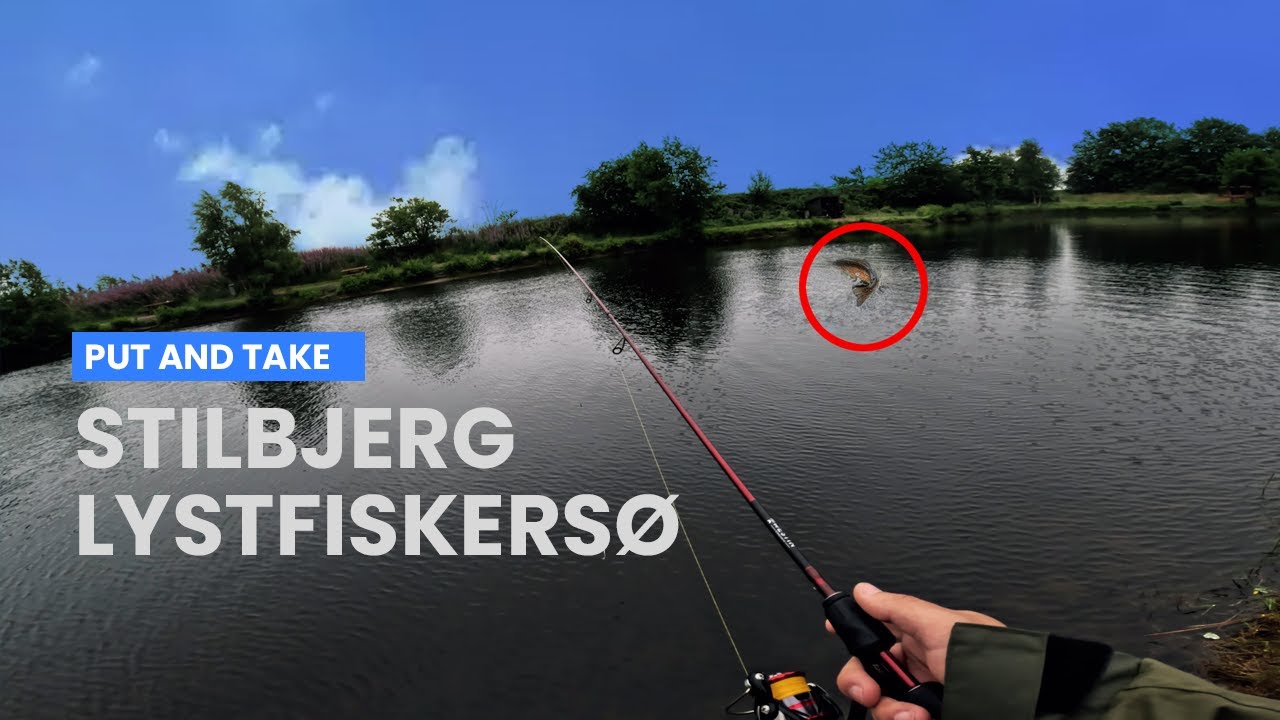 Hyggelig formiddag ved Stilbjerg Lystfiskersø - Put And Take