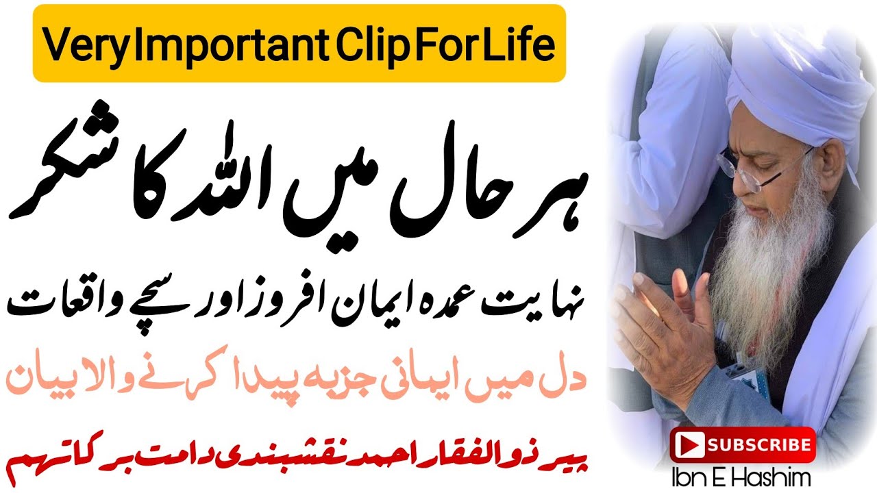 Har Haal Ma Allah Ka Shukr Ada Krna Chahia | Peer Zulfiqar - ہر حال میں اللہ کا شکر ادا کرنا چاہئے