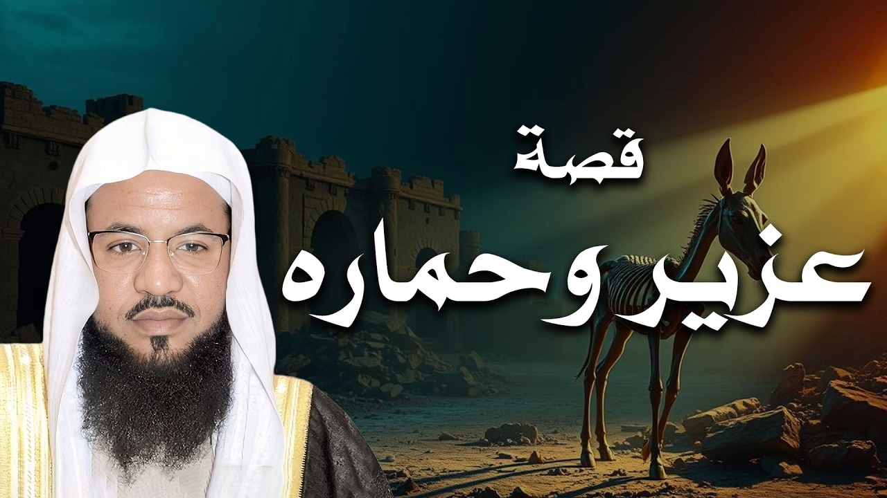 ليلة هادئة مع قصة غزير وحماره | درس للحياة قبل النوم – الشيخ محمد الشنقيطي
