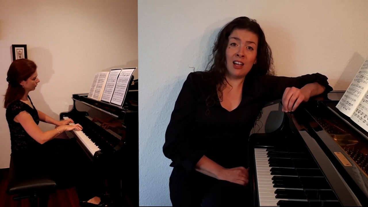 Franz Schubert Winterreise 