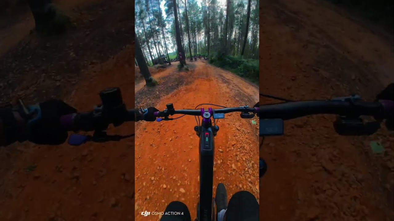 MTB Bliss 