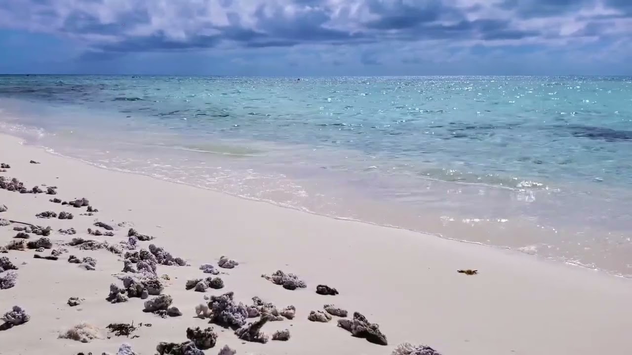  ( No ads ) 🌊relaxing waves sounds ASMR 🏖️ one hour of relaxing on the beach HD