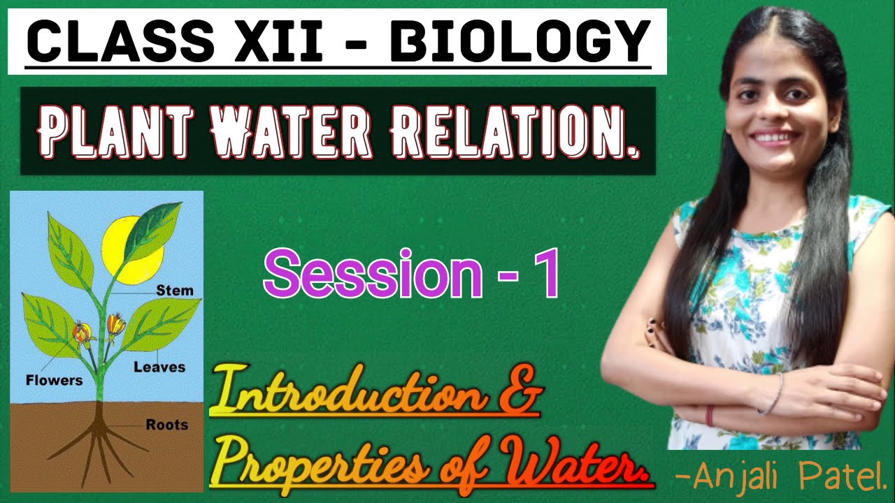 Class XII Biology - Plant Water Relation: Introduction & Properties of water.