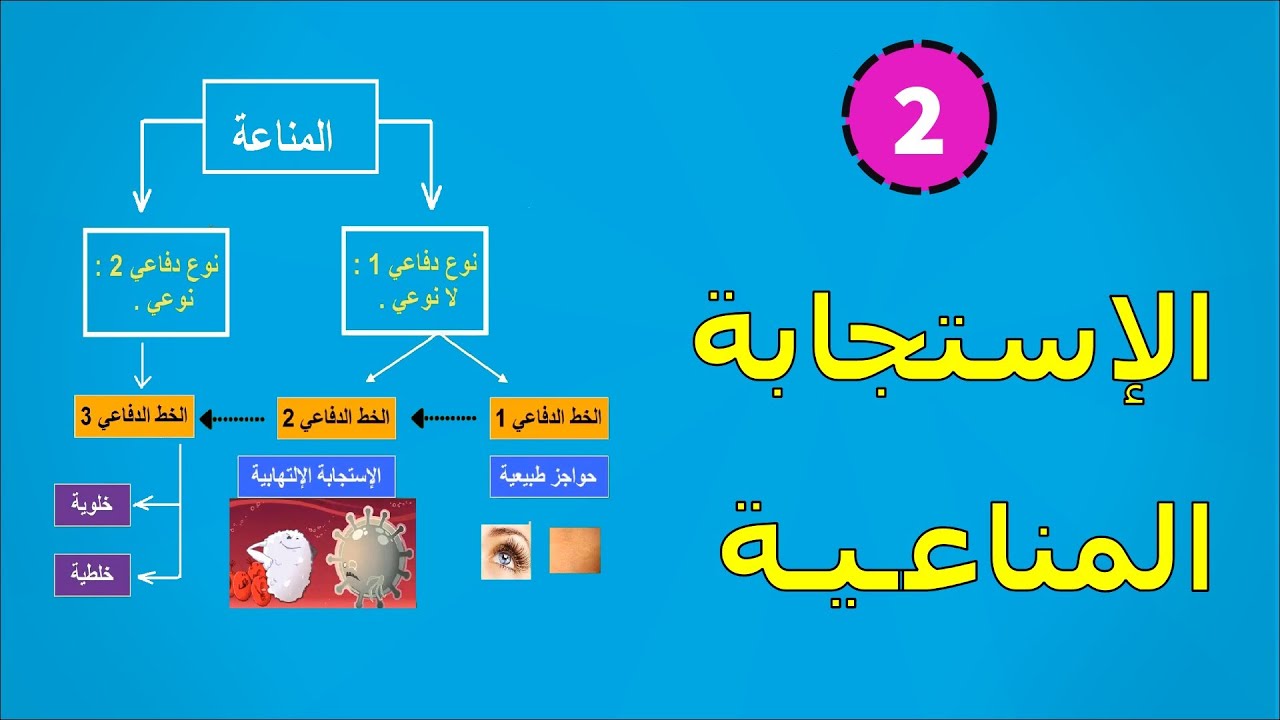 2- كيف تستجيب العضوية عند اختراقها من طرف اللاذات 👾 ؟ .