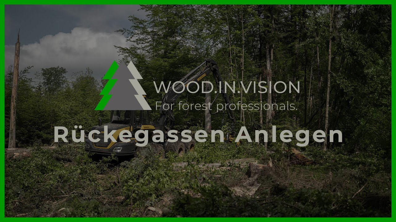 R&uuml;ckegassen Anlegen | Wood.in.Vision