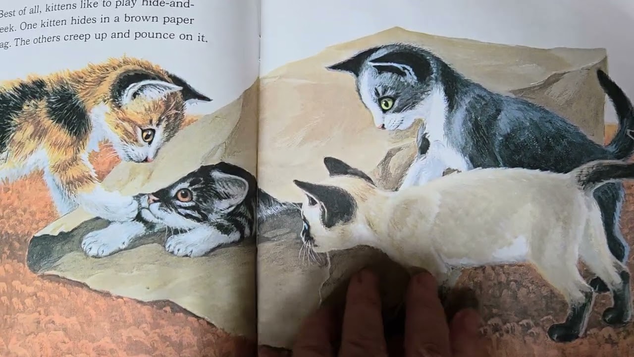 Kittens Are Like That by Jan Pfloog read aloud