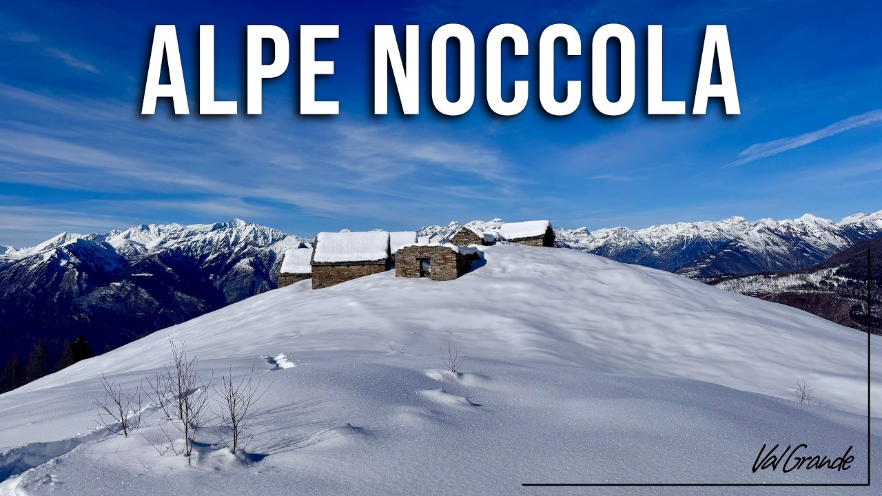ALPE NOCCOLA, un NIDO D'AQUILA in VAL GRANDE. Escursione nella NEVE