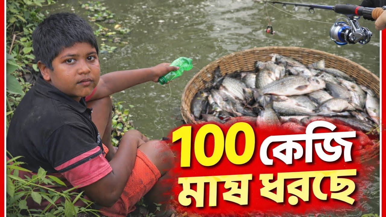 নীল ১০০কেজি শৈল মাছ দরছে আজ কে তাদের পুকুর থেকে নীল। 