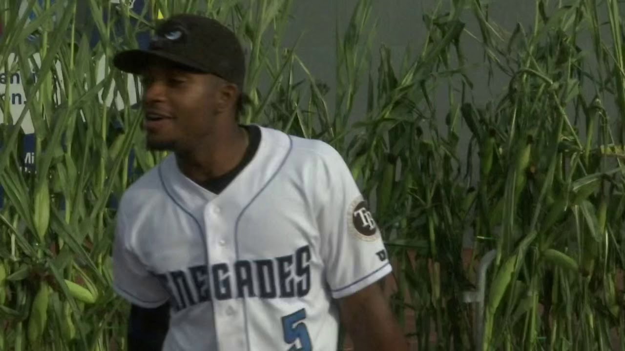 Hudson Valley Renegades 2019 Production Highlights