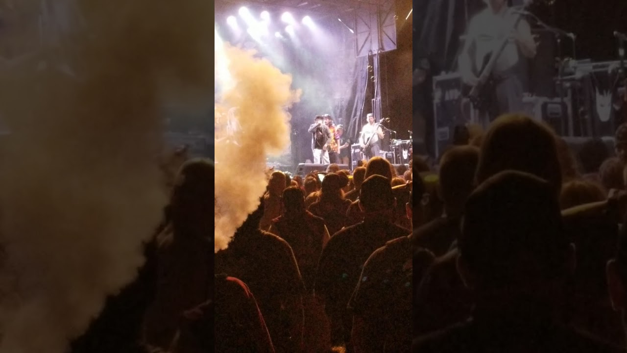 Zug Izland - Synplicity - GOTJ 2019 with #Sewerside and 2TONE