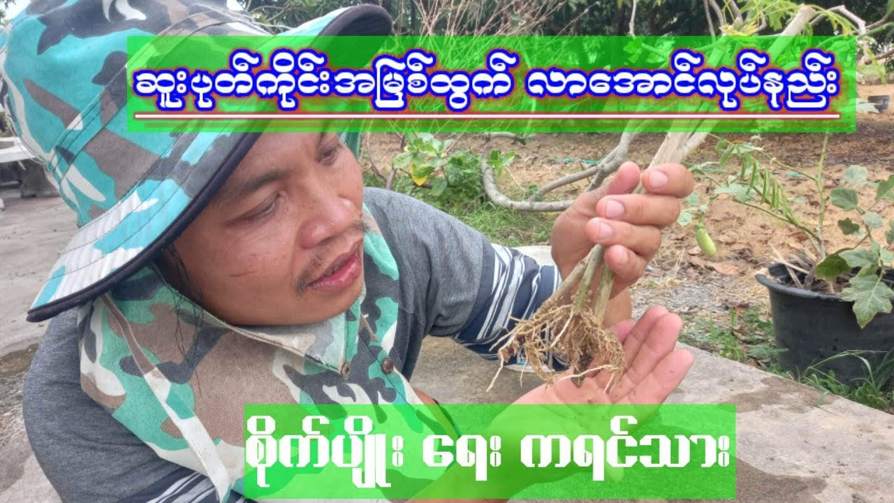 agriculture