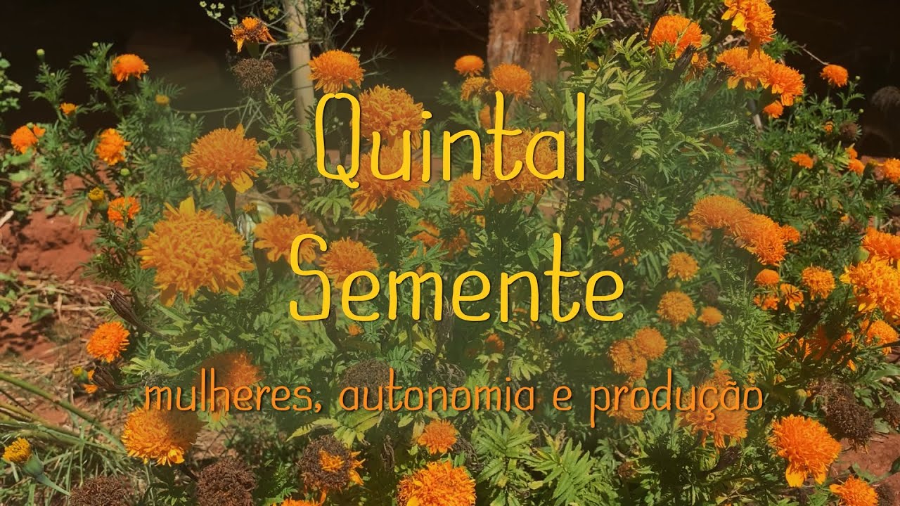 Quintal-Semente: mulheres, autonomia e produção