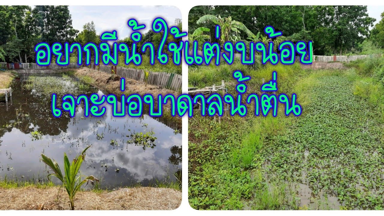 เจาะบ่อบาดาลน้ำตื้นง่ายๆ ด้วยงบไม่กี่พันบาท  l สวนผสม 1ไร่ ชนะจน