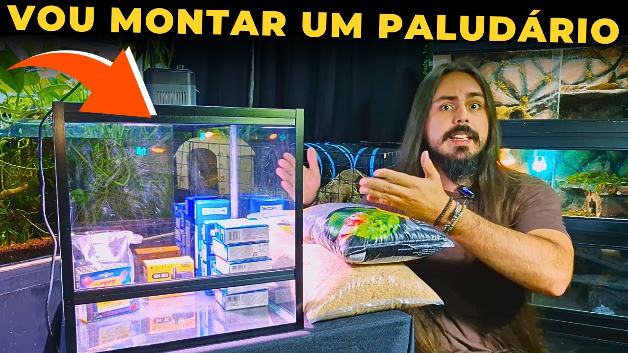 🔴MEU PRIMEIRO PALUDÁRIO!! |Mr. Betta|