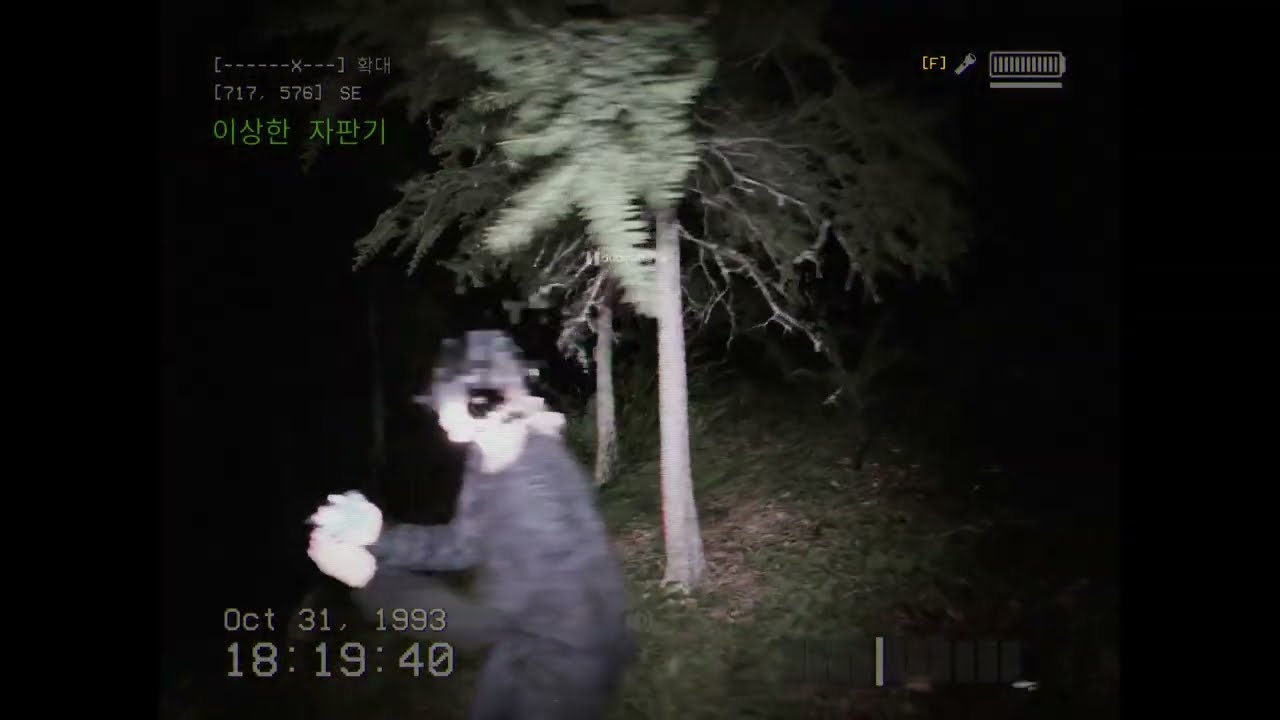 개네마리 돈스크림투게더