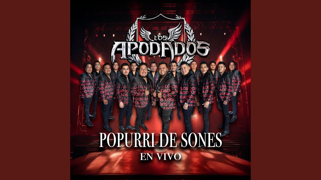 Popurri De Sones (En Vivo)