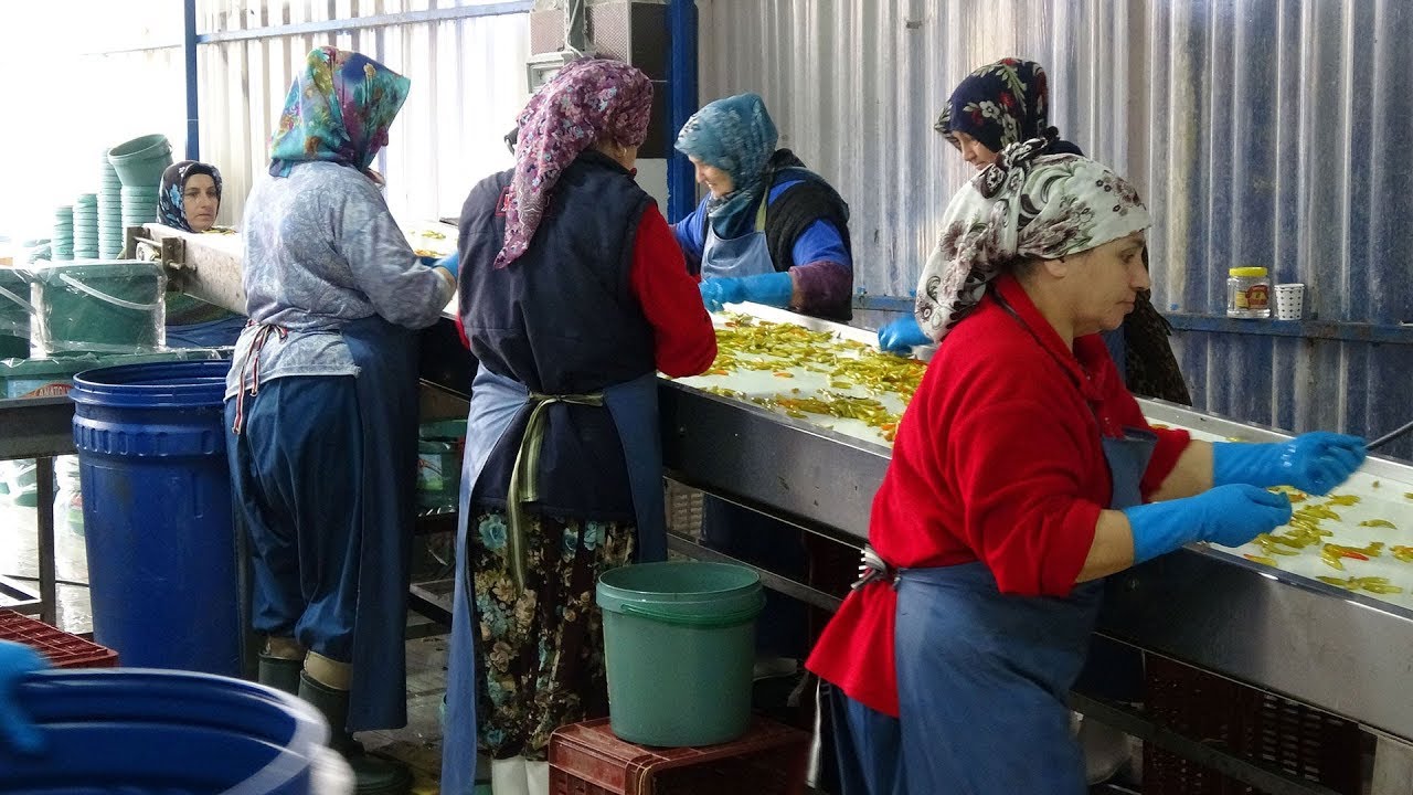 'Turşucu köyü'nde kış öncesi üretim hızlandı