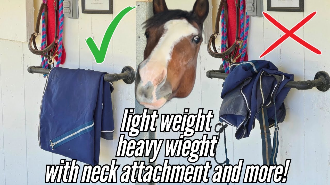 How to fold a horse blanket in hand | FULL TUTORIAL with multiple options!