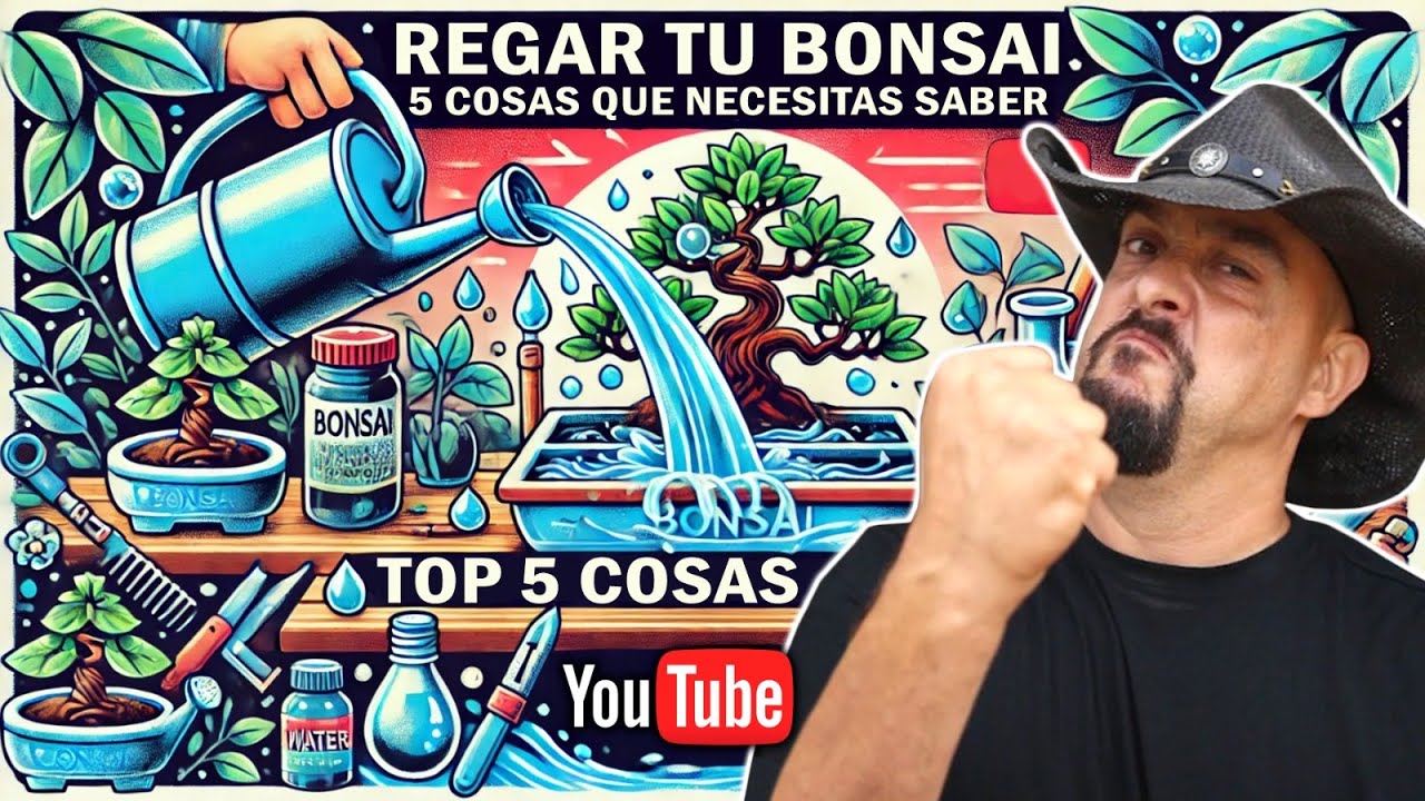 Regar Bonsai - 5 cosas que NECESITAS saber