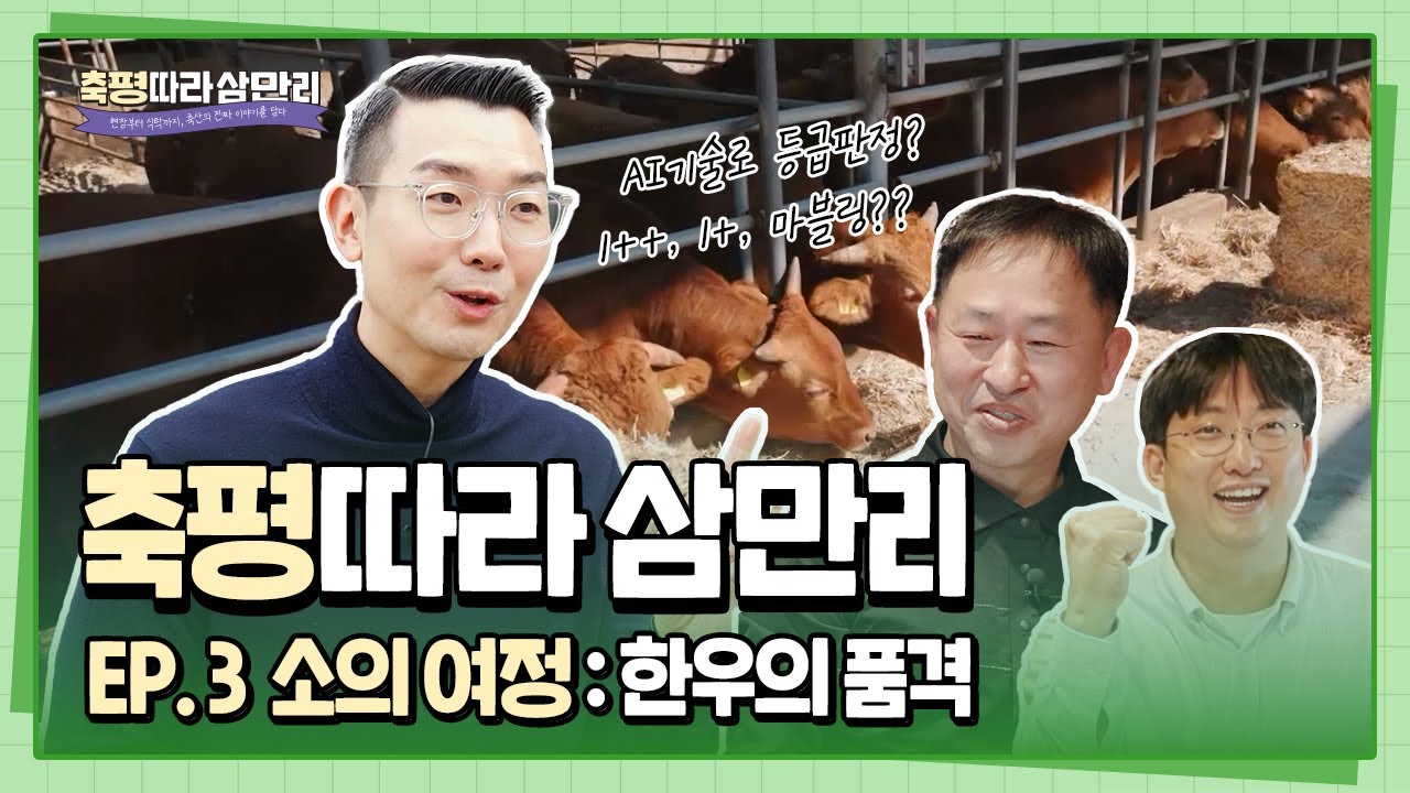 🥩축평따라 삼만리 Ep.3ㅣ소의 여정 : 한우의 품격