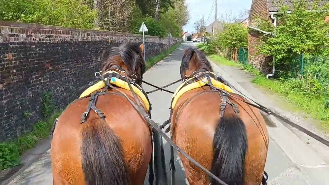balade l après-midi