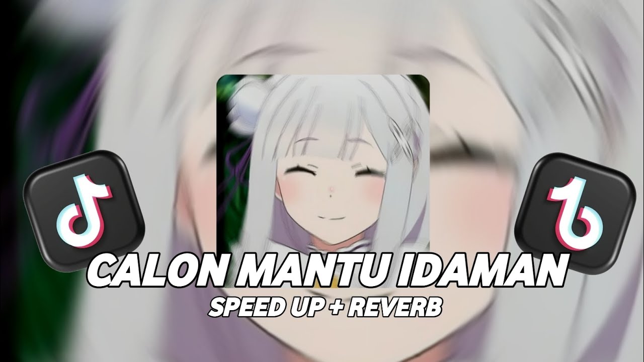 Rombongan Bodonk Koplo - Calon Mantu Idaman (Speed Up + Reverb)
