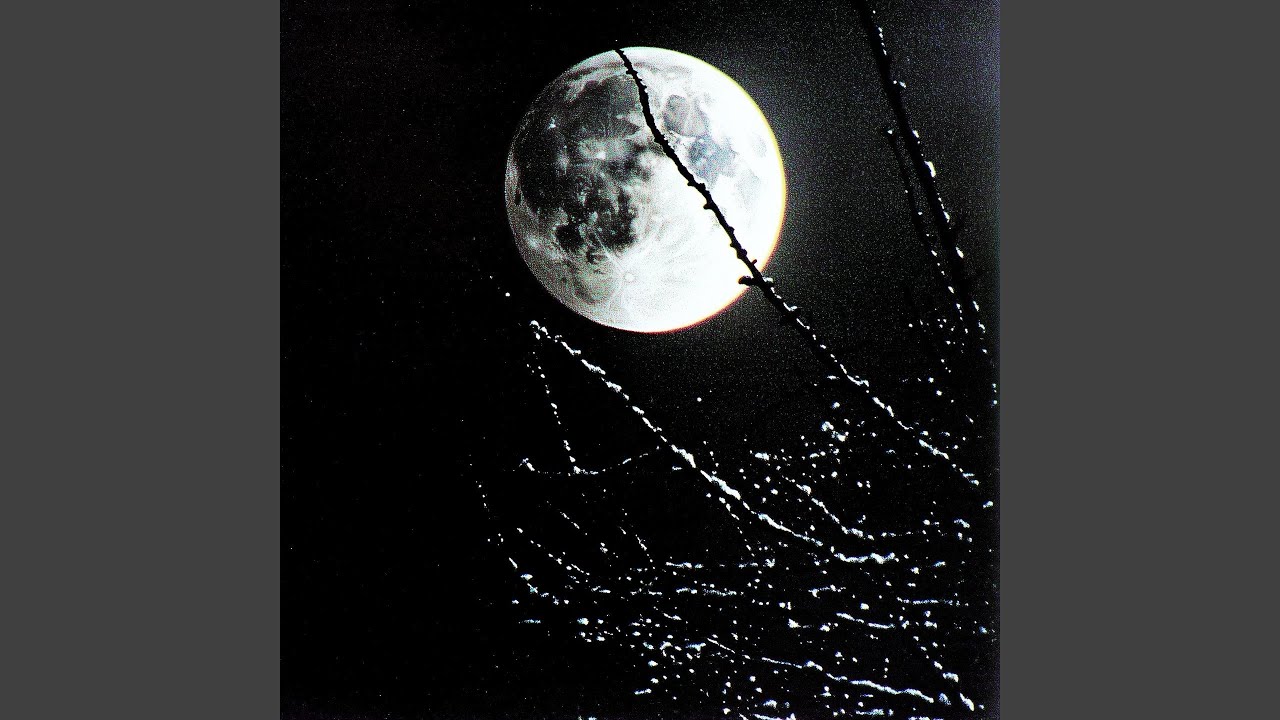 night moon (feat. SABU)