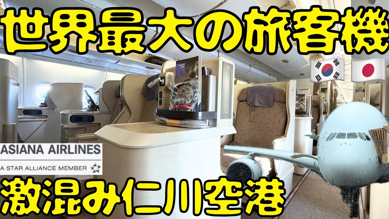 【仁川空港では大韓航空のターミナルへ】アシアナ航空の巨大飛行機A380ビジネスクラスで東京🇯🇵へ帰国すると...