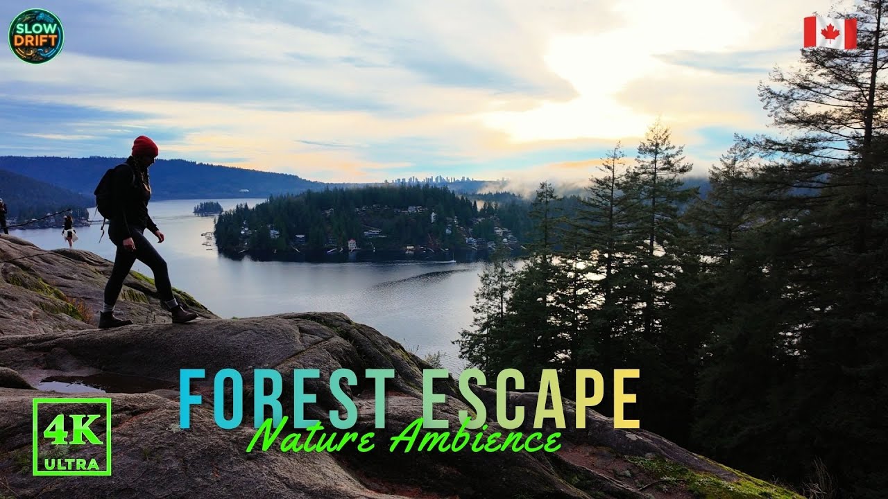 Quarry Rock Trail Walk | Forest Path Near the City (Deep Cove)