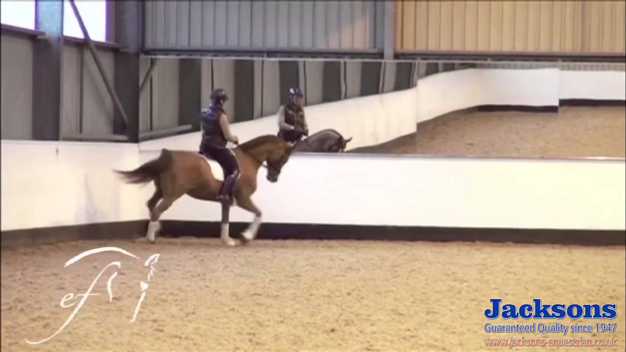 Emile Faurie -  How to effectively use transitions for training | Jacksons Fencing