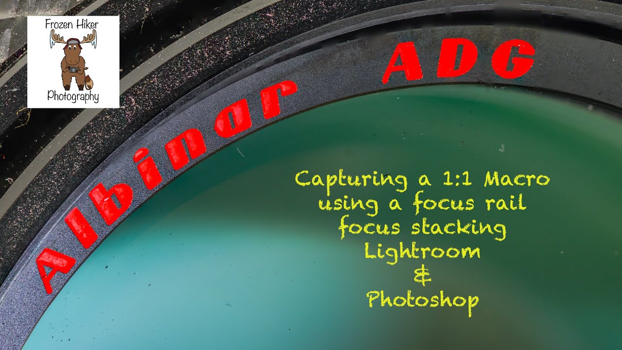 Step by Step Process for Creating a Macro Photo using Focus Stacking