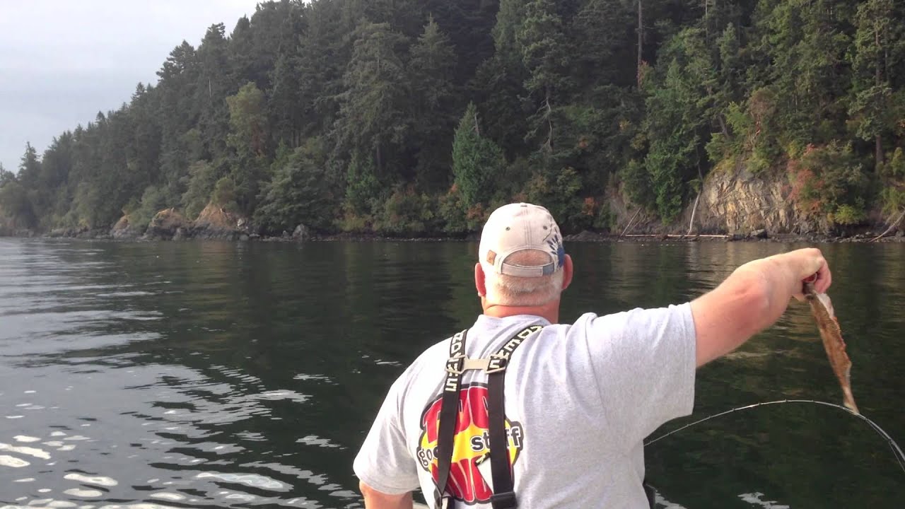 Hungry Eagle Takes Flounder, Orcas Island