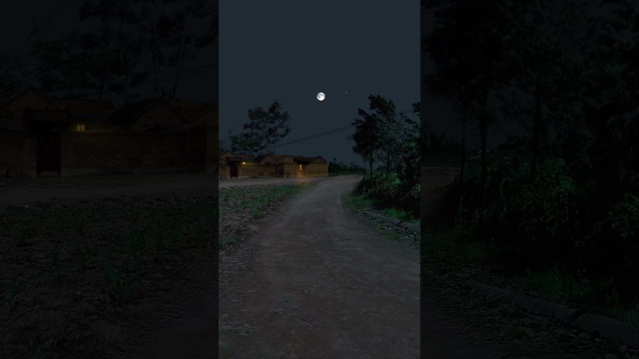 Mentahan Suasana Malam Yang Tenang #suasanamalam #malam #nature