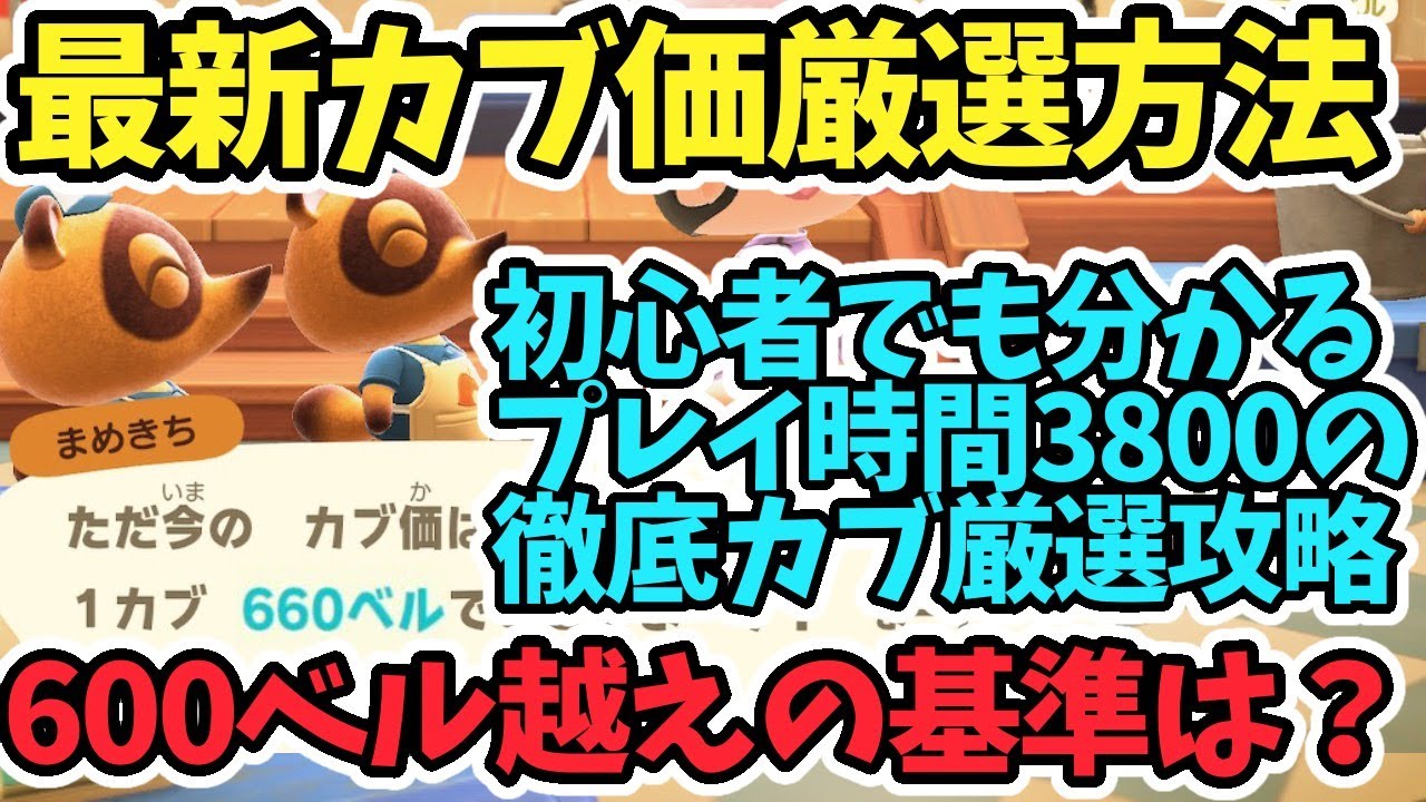 【あつ森カブ価】最新カブ価厳選方法公開！カブ価600ベル越えの方法は？初心者もわかりやすい！