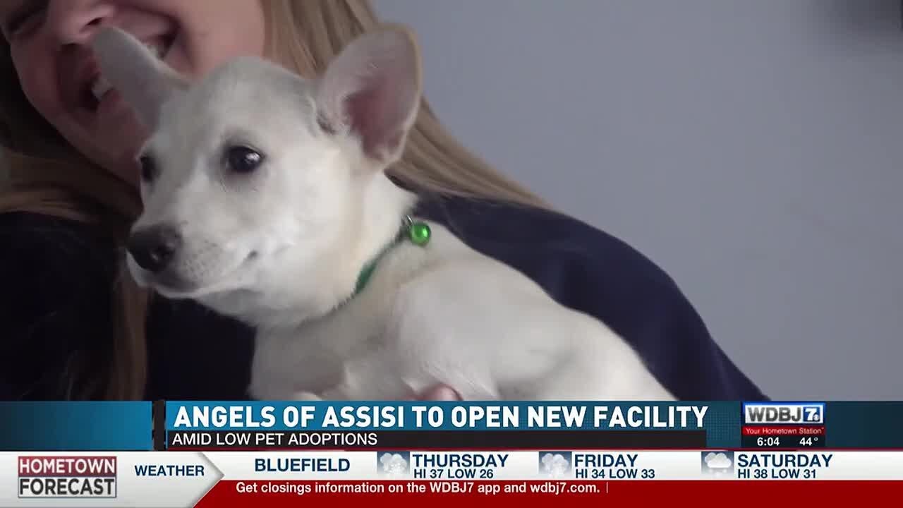 Angels Of Assisi&rsquo;s New Facility Draws Closer To Opening